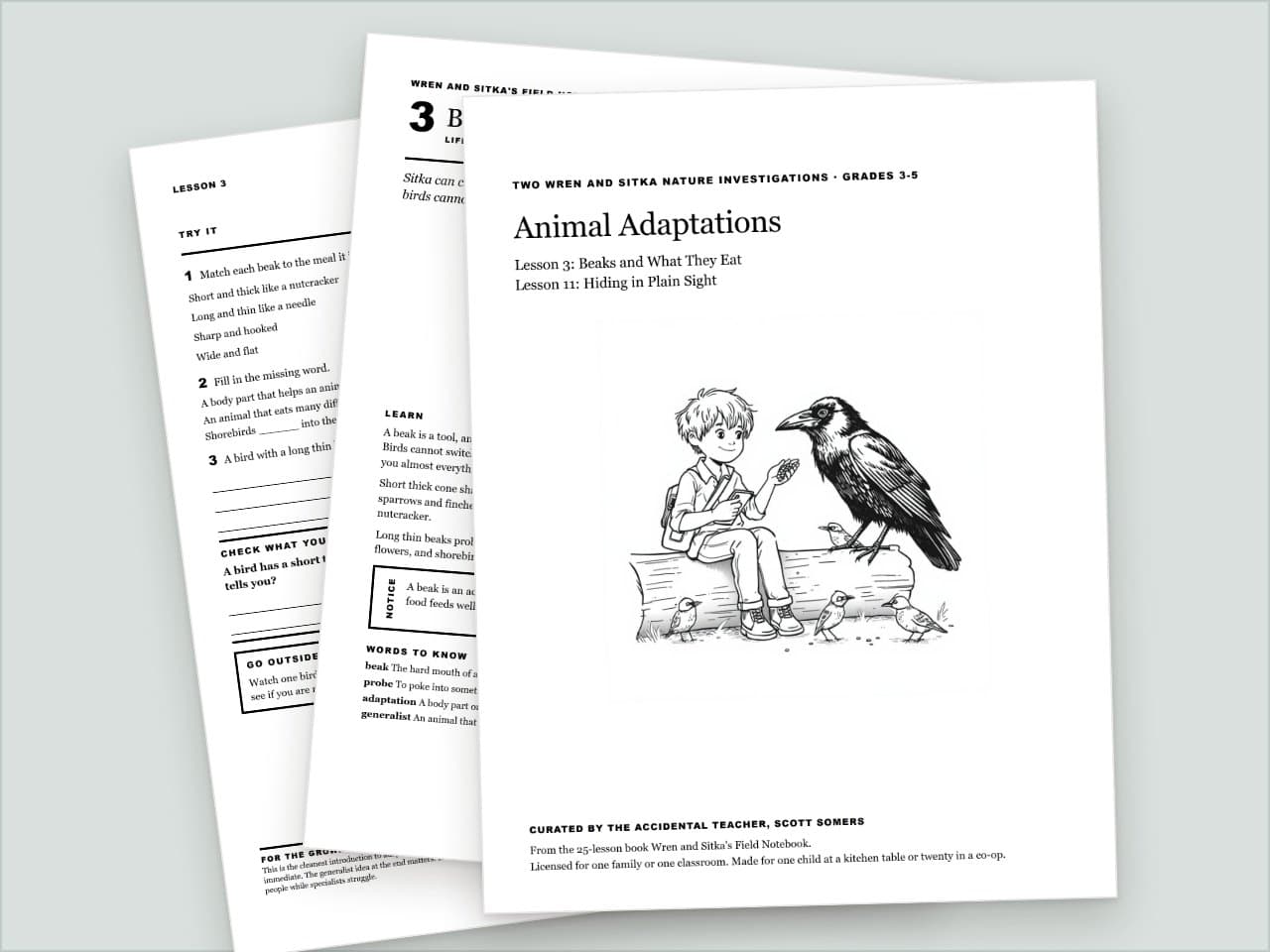 Preview pages from Animal Adaptations: Beaks and Camouflage, Two Wren and Sitka Lessons, Grades 3-5