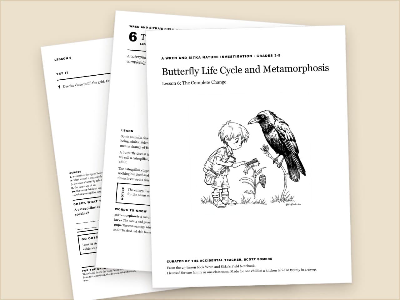 Preview pages from Butterfly Life Cycle and Metamorphosis: Wren and Sitka Nature Lesson, Grades 3-5
