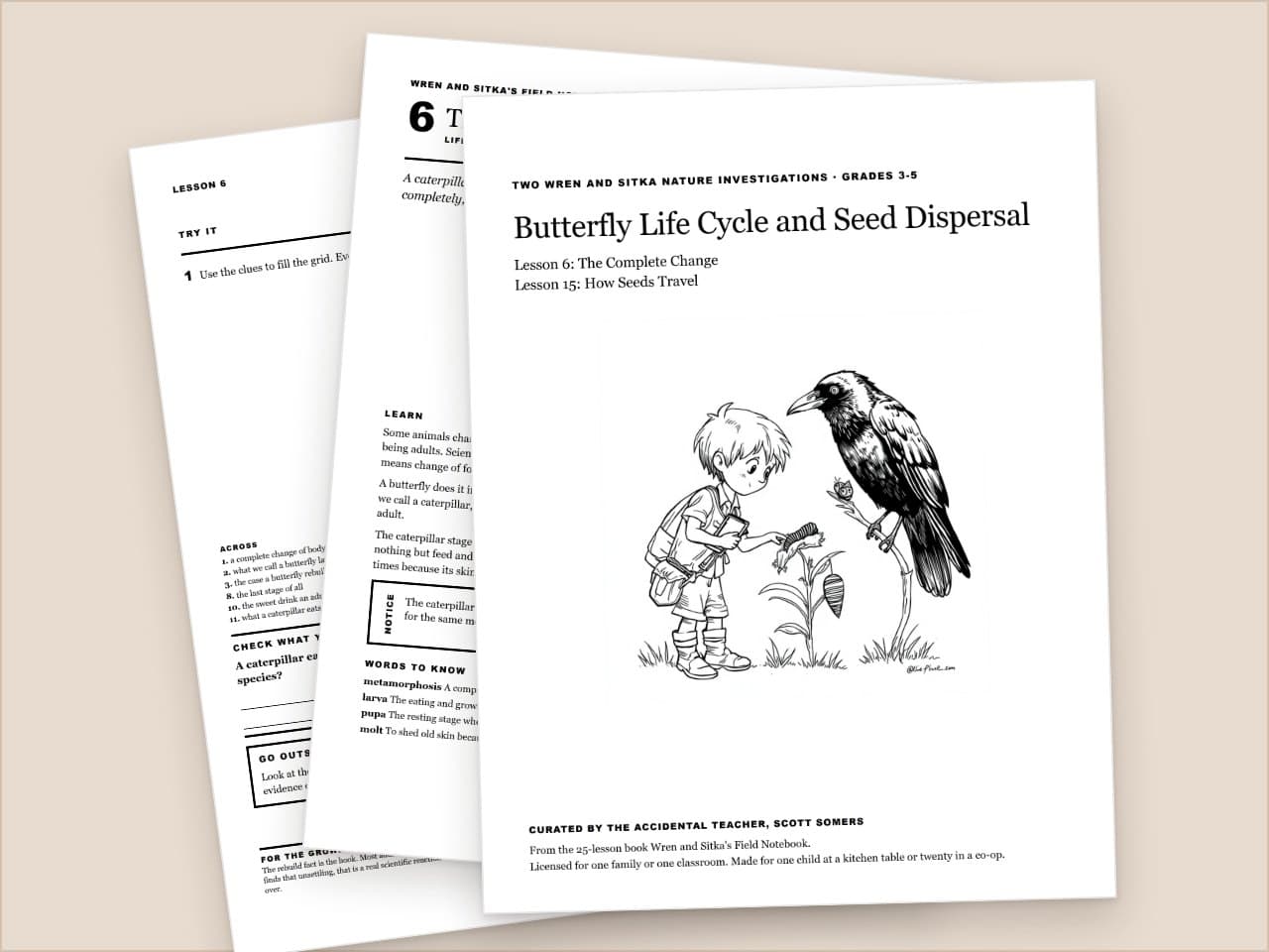 Preview pages from Butterfly Life Cycle and Seed Dispersal: Two Wren and Sitka Lessons, Grades 3-5