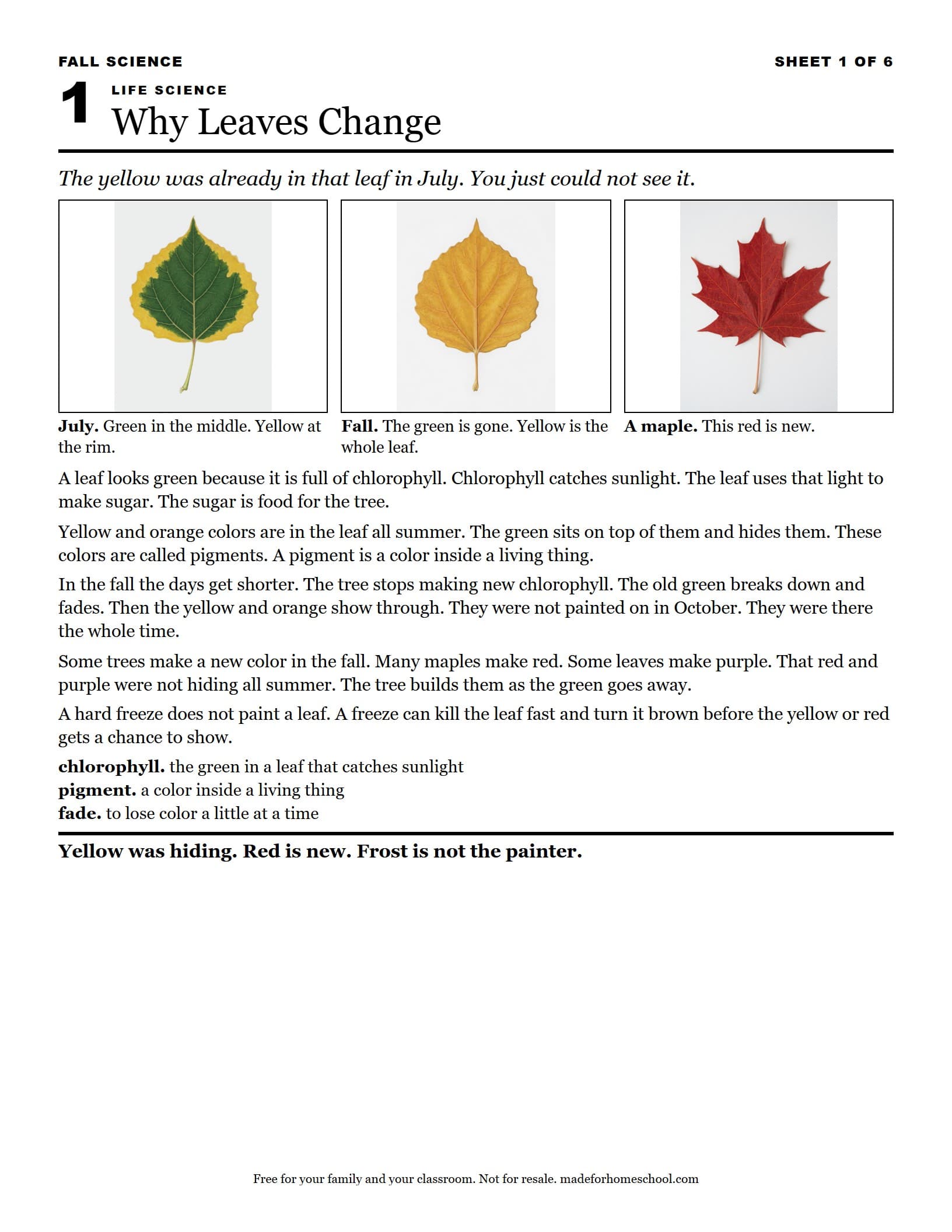 Preview pages from Fall Science: Six Sheets