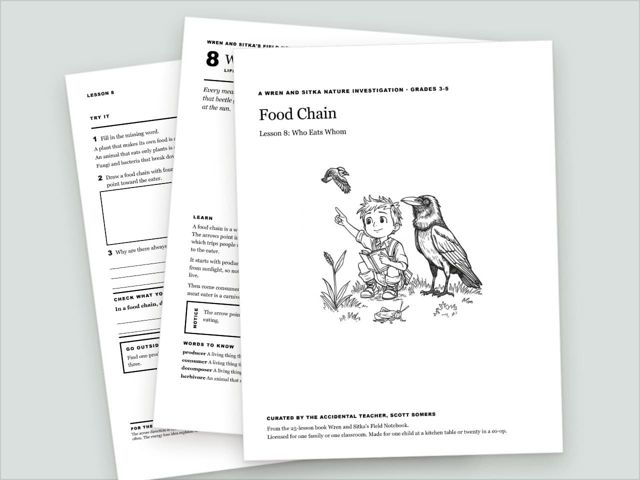 Preview pages from Food Chain: Who Eats Whom, Wren and Sitka Nature Investigation, Grades 3-5