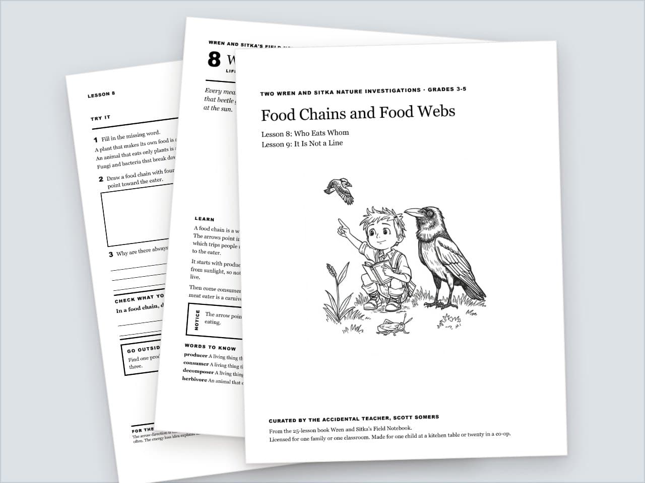 Preview pages from Food Chains and Food Webs: Two Wren and Sitka Nature Lessons, Grades 3-5