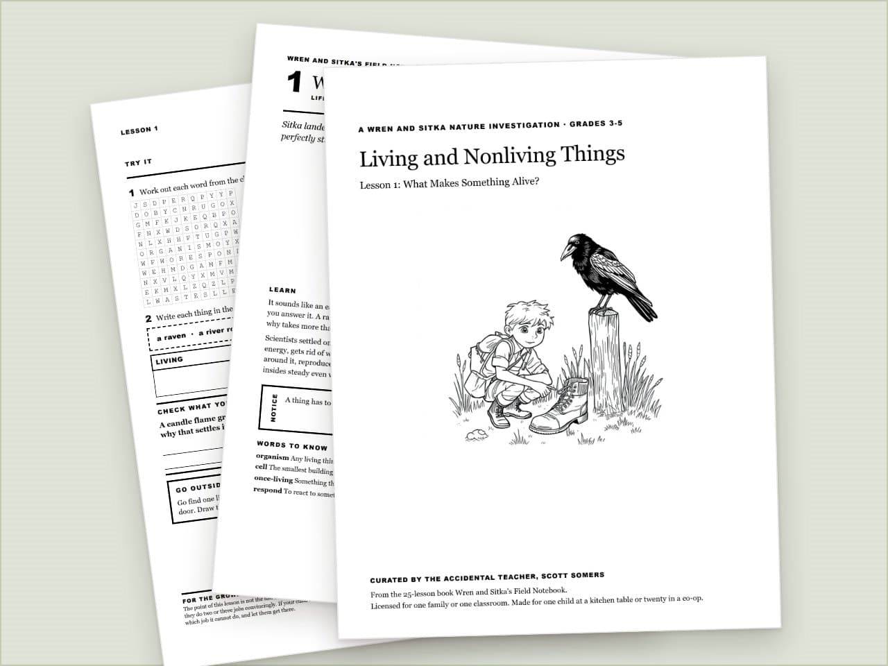 Preview pages from Living and Nonliving Things: Wren and Sitka Nature Investigation, Grades 3-5