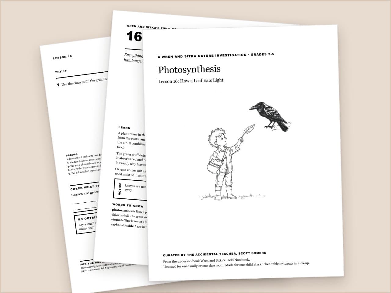 Preview pages from Photosynthesis: How a Leaf Eats Light, Wren and Sitka Nature Lesson, Grades 3-5
