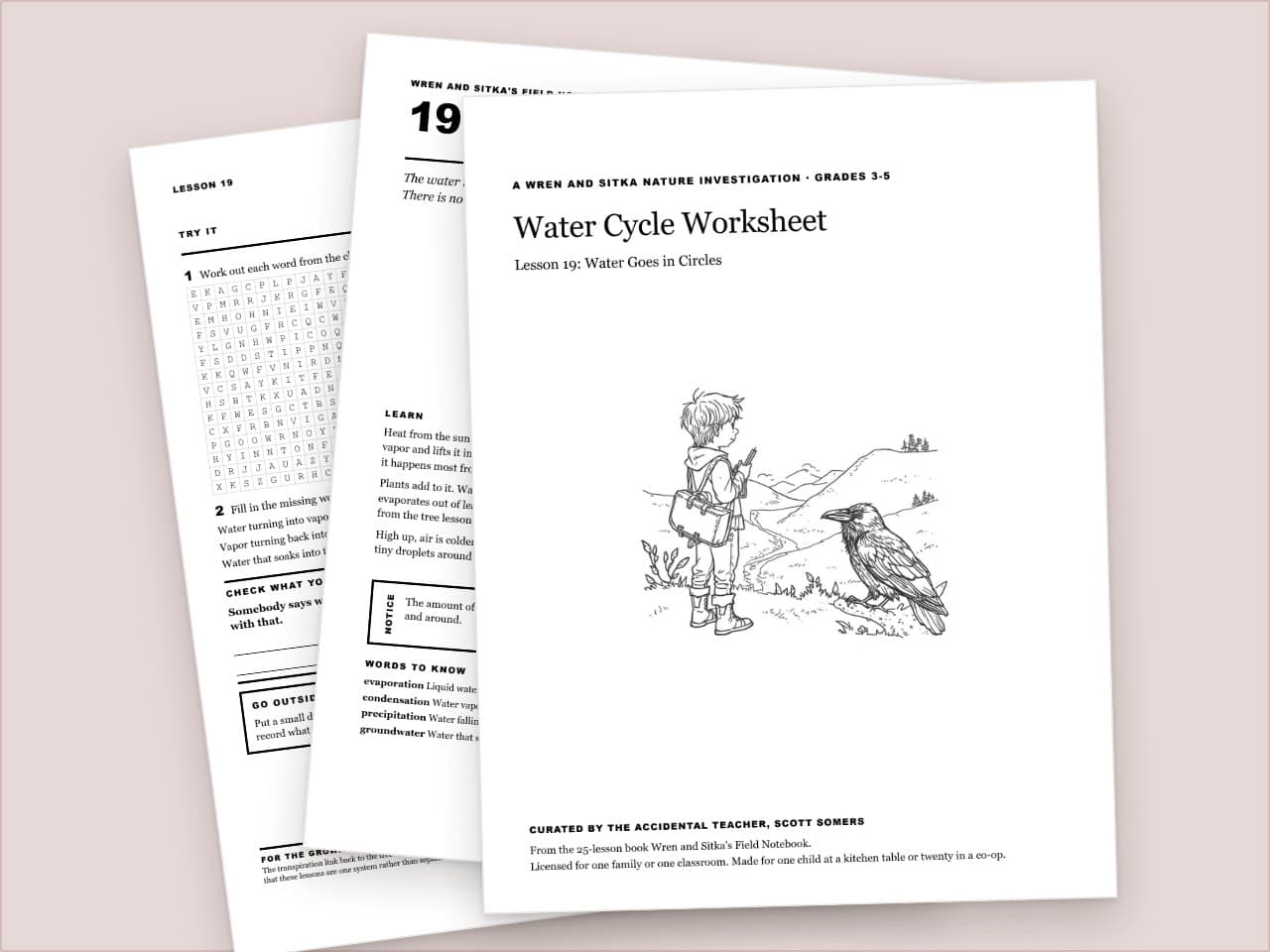 Preview pages from Water Cycle Worksheet: Wren and Sitka Nature Investigation, Grades 3-5